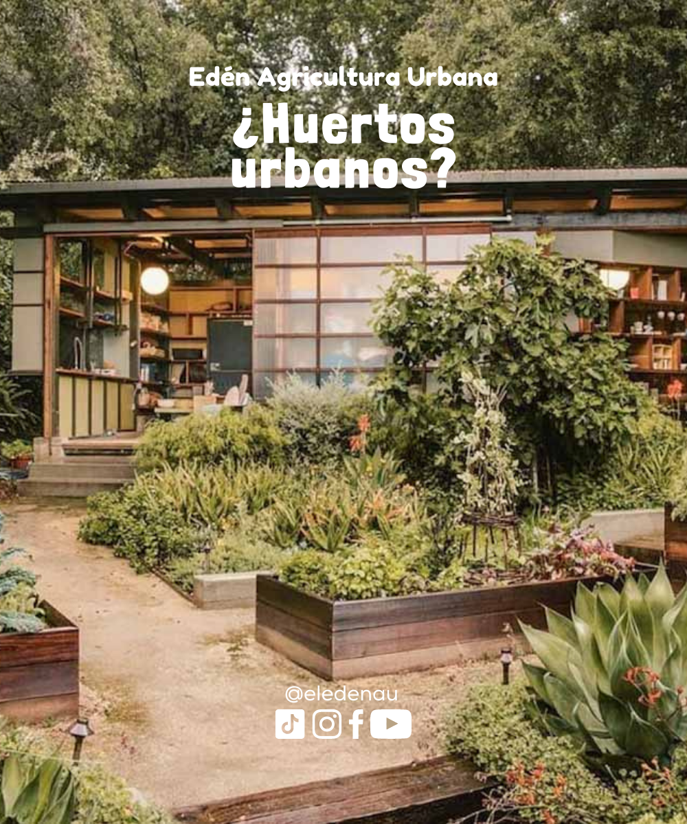 ¿Qué son los Huertos Urbanos?