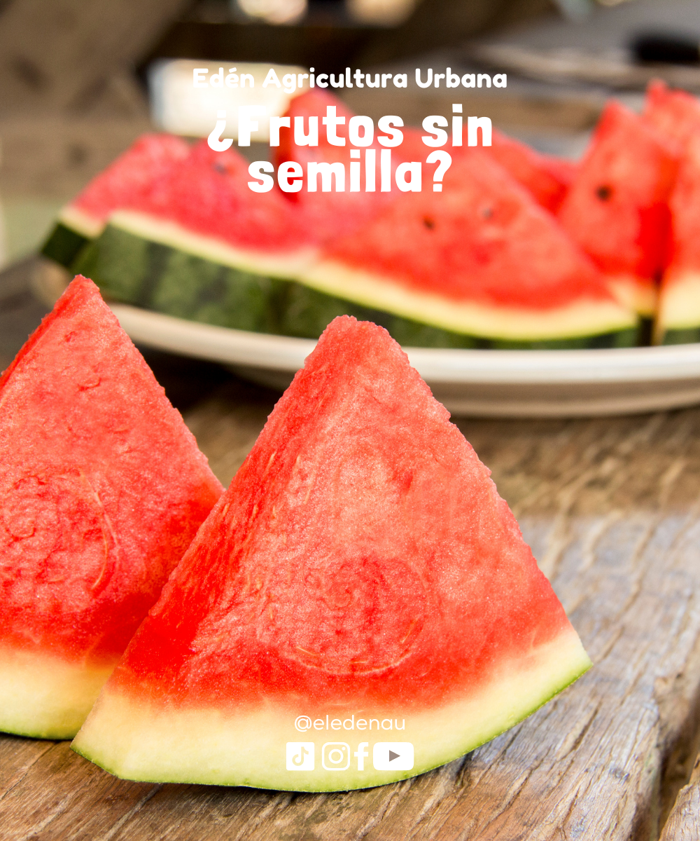 ¿Frutos sin semilla?