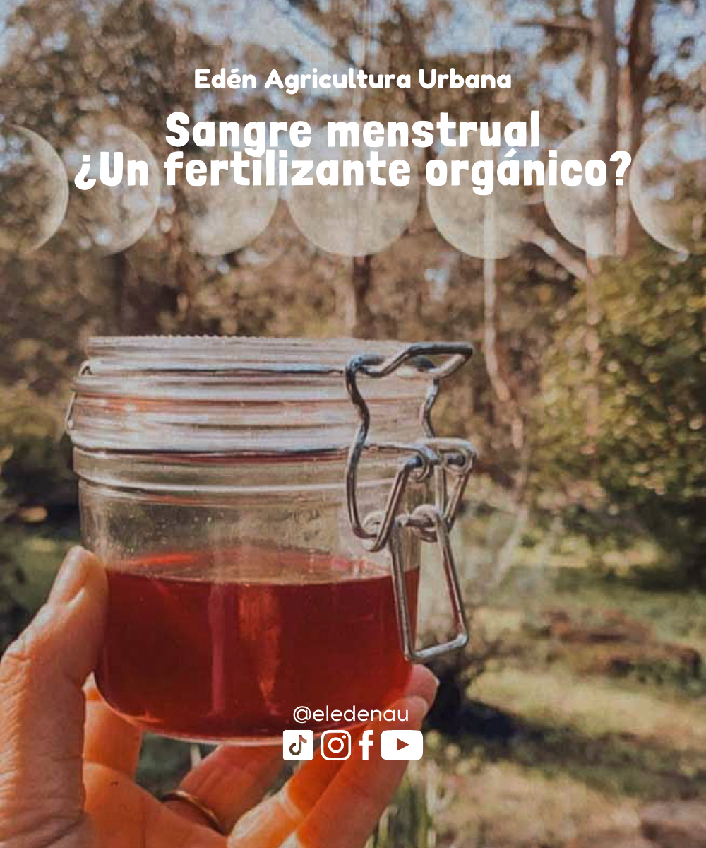 Sangre Menstrual ¿Un fertilizante Orgánico?