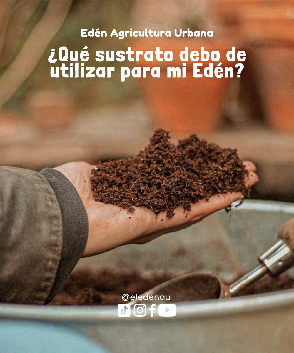 ¿Qué sustrato debo de utilizar para mi Edén?