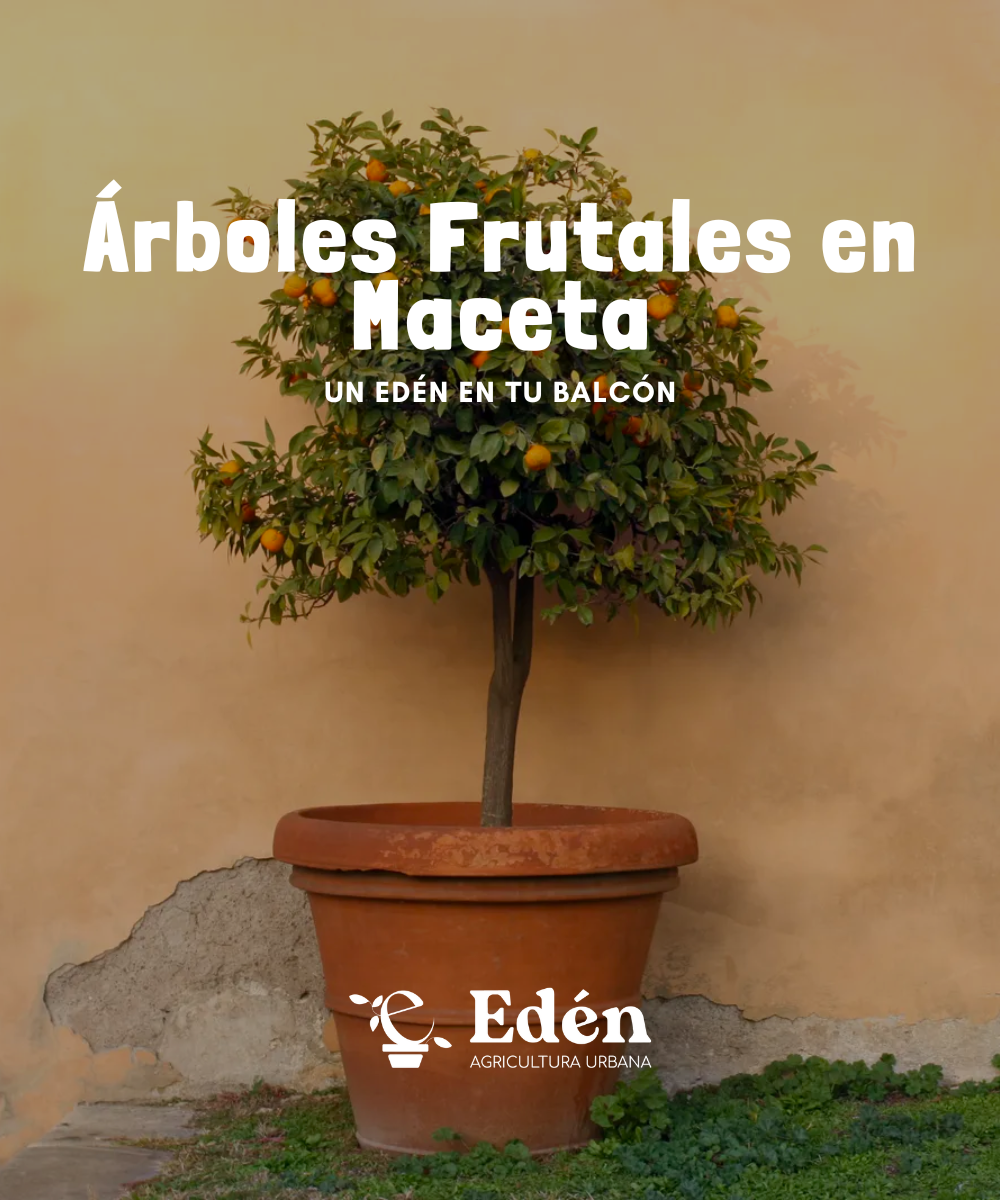 Árboles Frutales en Maceta: Un Edén en tu Balcón