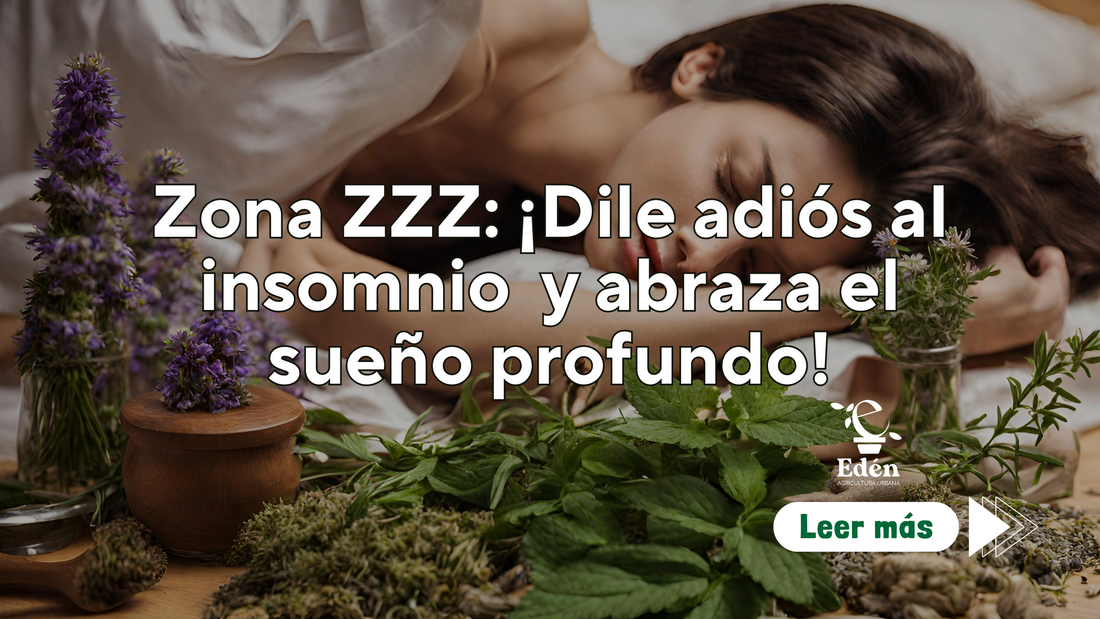 Zona ZZZ: ¡Dile adiós al insomnio  y abraza el sueño profundo!