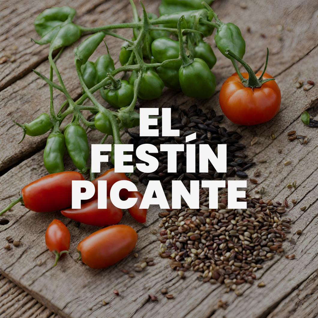 Semillas especiales para Salsas - 